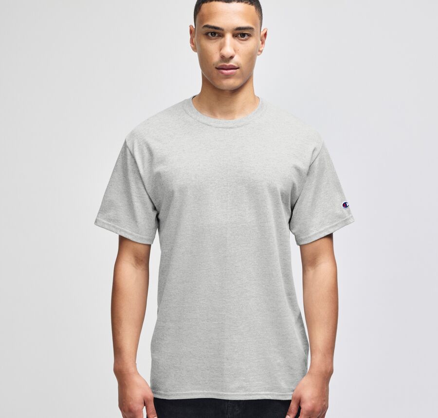 T425 Unisex Adult Cotton Jersey T-Shirt Thumbnail