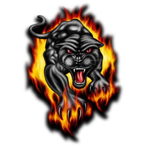 Panther Fire Thumbnail