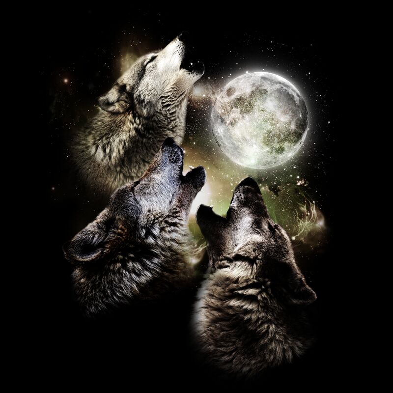 Howling Wolves Thumbnail