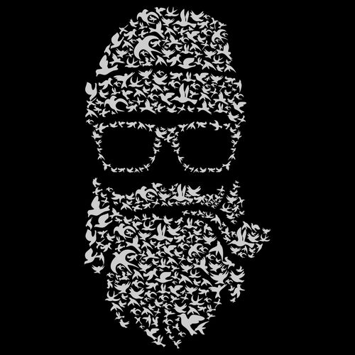 Birds Hipster  Thumbnail