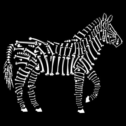 Dead Zebra Thumbnail