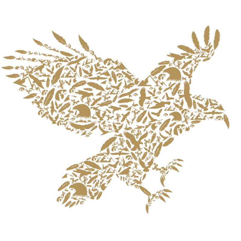 Eagle Thumbnail