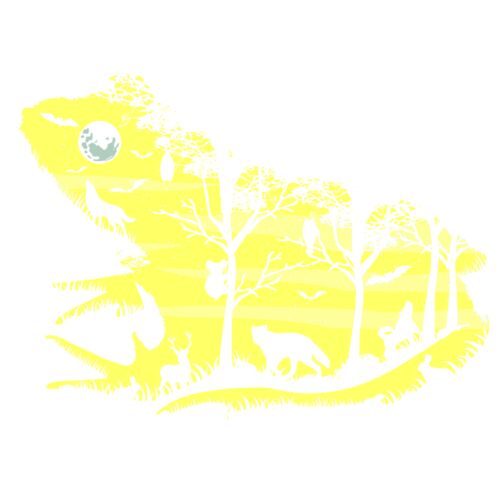 Froggy Night  Thumbnail