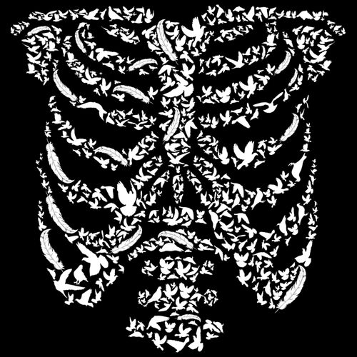 Ribcage Bird Thumbnail