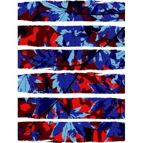 Maple Leaves Thumbnail