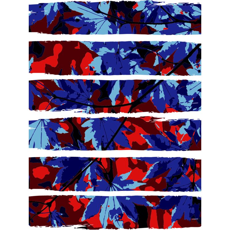 Maple Leaves Thumbnail