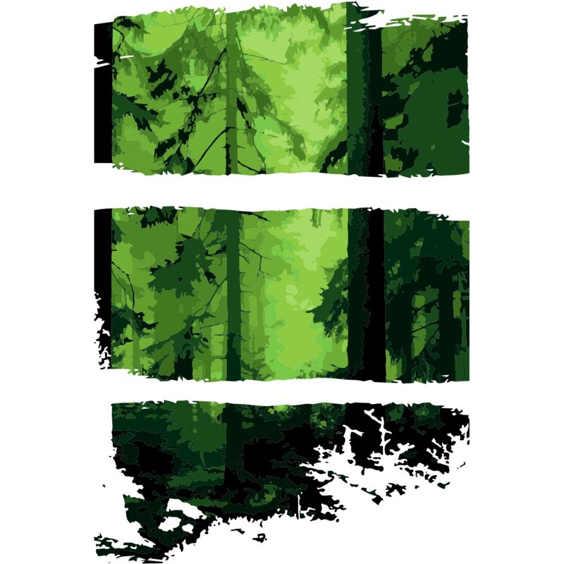 Forest  Thumbnail