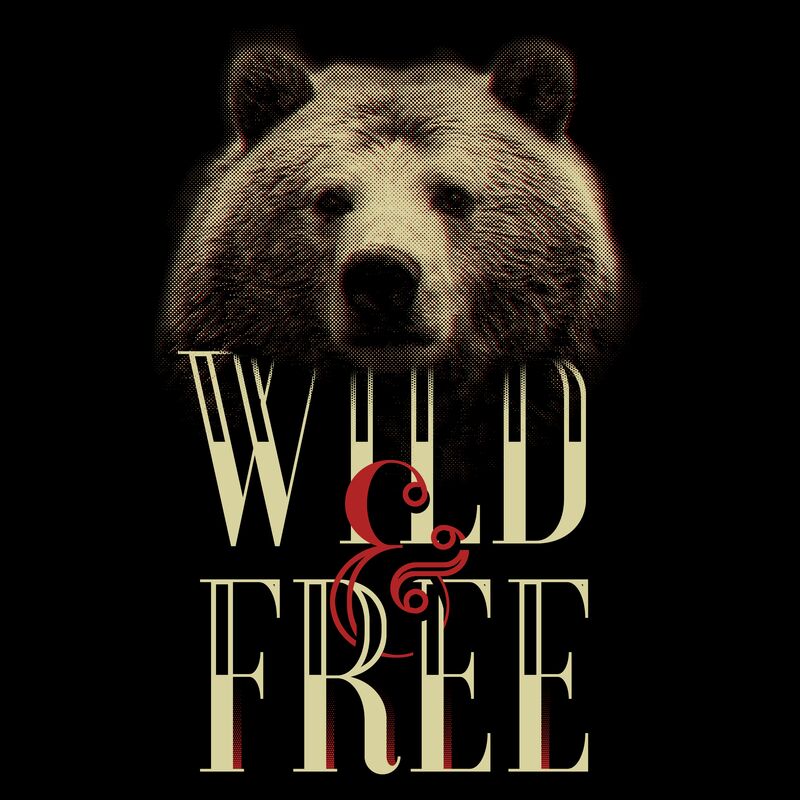 Wild & Free Thumbnail
