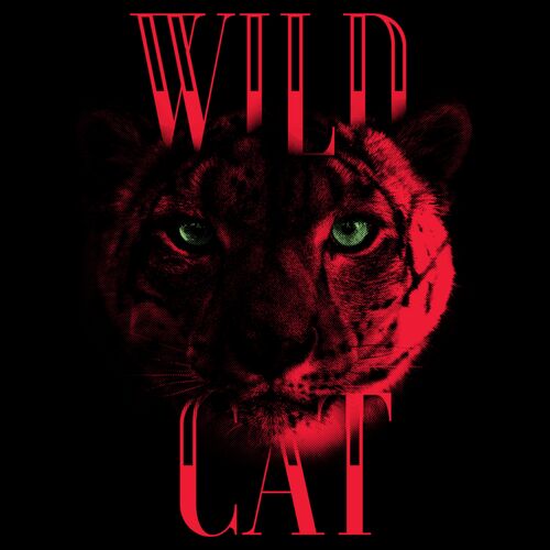Wild Cat Thumbnail