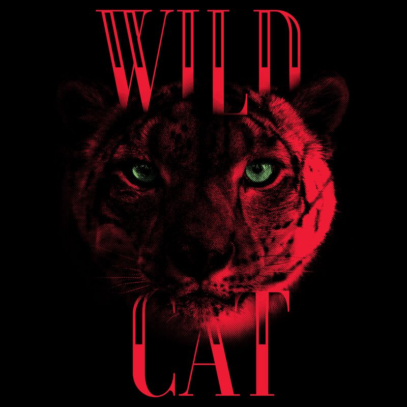 Wild Cat Thumbnail