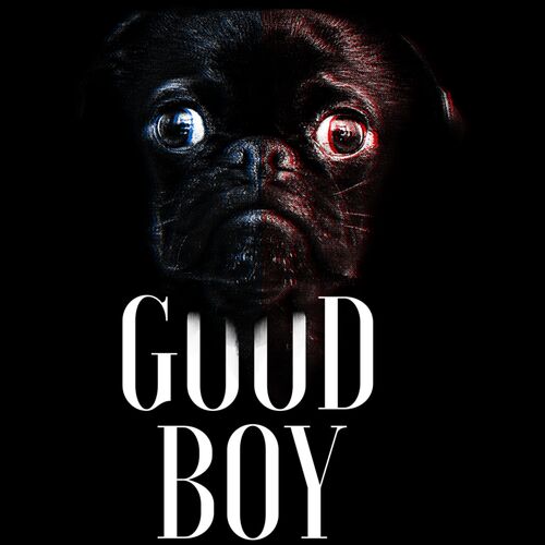 Good Boy Thumbnail