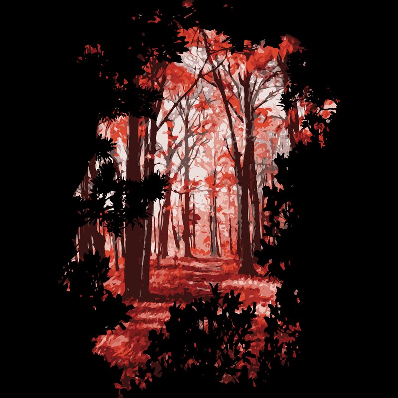 Forest 1 Thumbnail