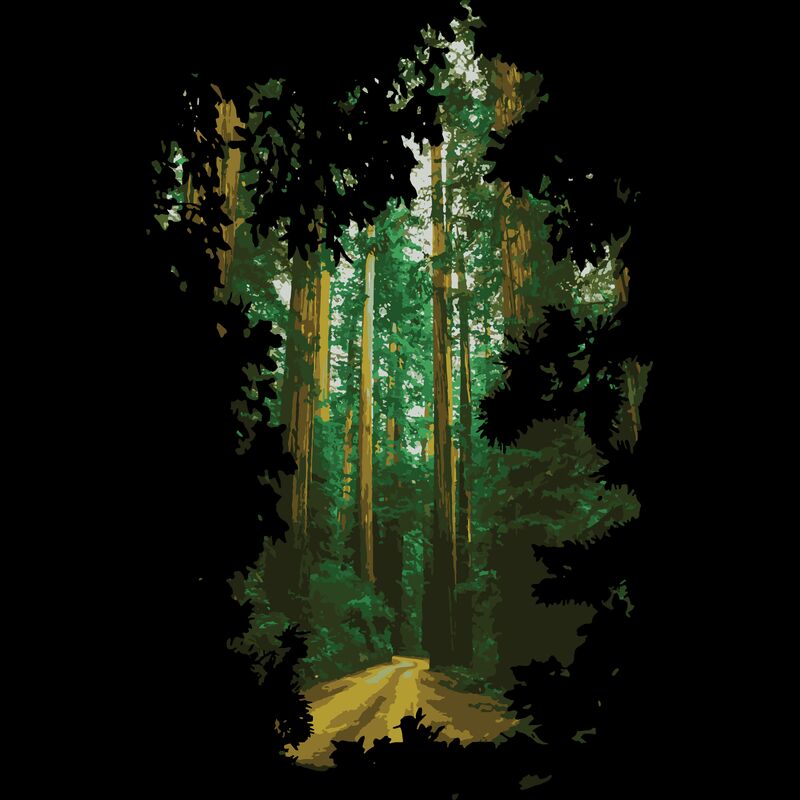 Forest 2 Thumbnail