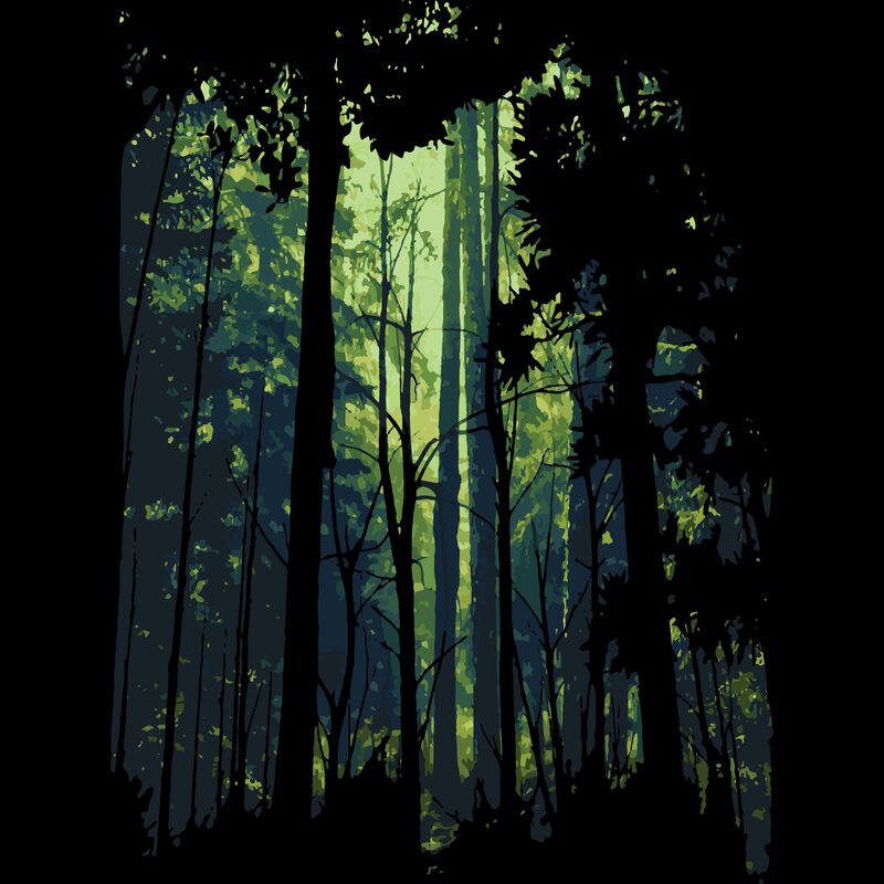 Forest 3 Thumbnail