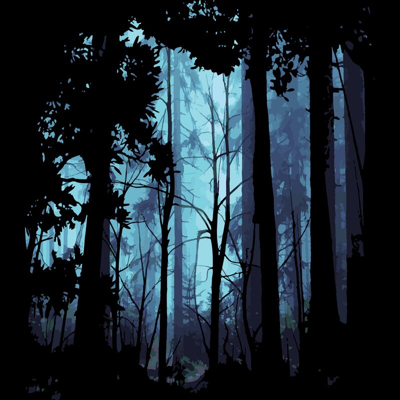 Forest 5 Thumbnail