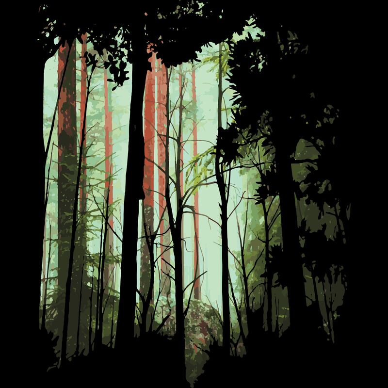 Forest 6 Thumbnail