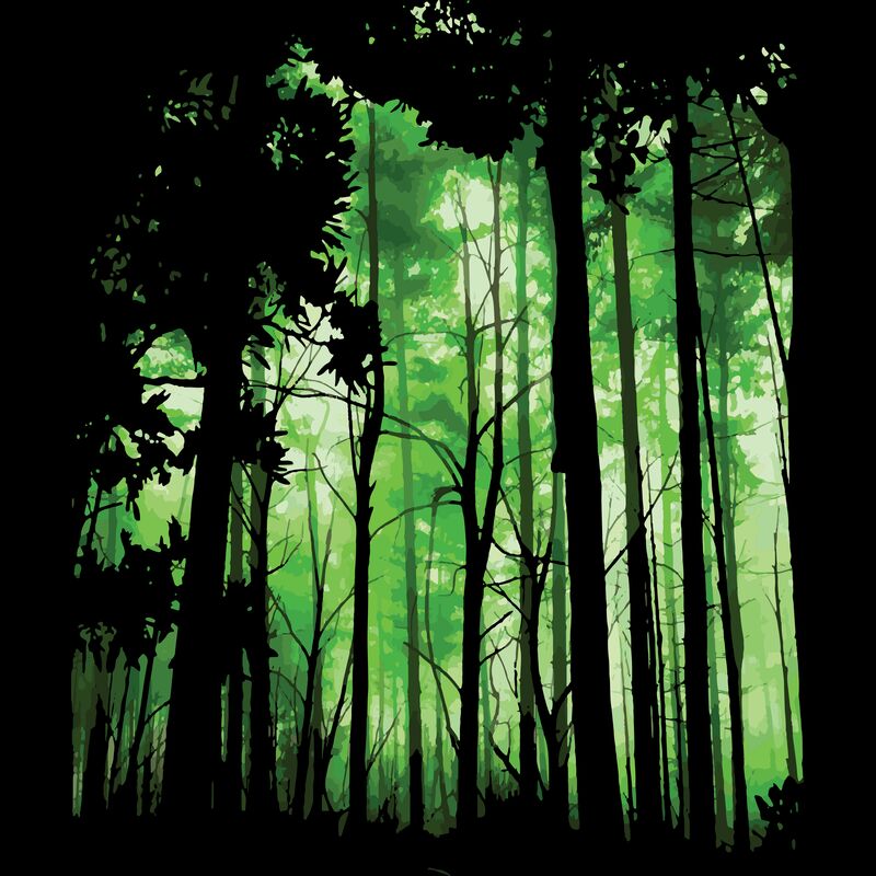 Forest 7 Thumbnail