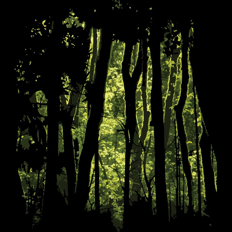 Forest 8 Thumbnail
