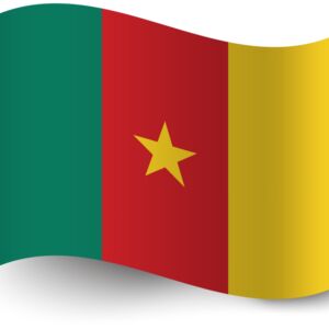 Cameroon Flag 2 Thumbnail