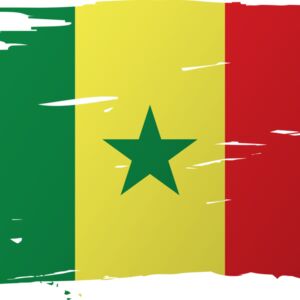Senegal Flag 1 Thumbnail