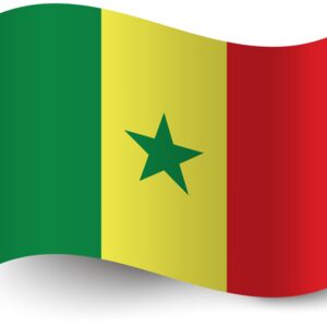 Senegal Flag 2 Thumbnail