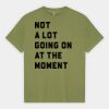 1301GD Heavyweight Cotton Unisex Garment Dyed T-Shirt Thumbnail