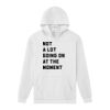 RF498 ReFlex Fleece Unisex Pullover Hoodie Thumbnail