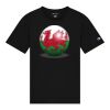 CH1000 Unisex Adult Jersey Short Sleeve T-Shirt Thumbnail