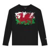CH1751 Youth Cotton Jersey Long Sleeve T-Shirt Thumbnail