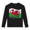 CH1751 Youth Cotton Jersey Long Sleeve T-Shirt Thumbnail
