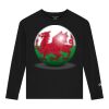 CH1751 Youth Cotton Jersey Long Sleeve T-Shirt Thumbnail