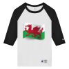 T137 Adult Raglan Baseball T-Shirt Thumbnail