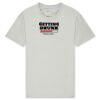 T425 Unisex Adult Cotton Jersey T-Shirt Thumbnail