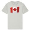 T425 Unisex Adult Cotton Jersey T-Shirt Thumbnail