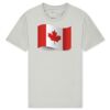 T425 Unisex Adult Cotton Jersey T-Shirt Thumbnail