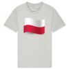 T425 Unisex Adult Cotton Jersey T-Shirt Thumbnail