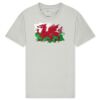 T425 Unisex Adult Cotton Jersey T-Shirt Thumbnail