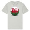 T425 Unisex Adult Cotton Jersey T-Shirt Thumbnail