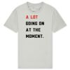 T425 Unisex Adult Cotton Jersey T-Shirt Thumbnail